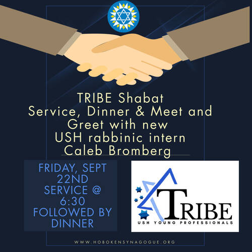 Banner Image for TRIBE Shabbat Dinner, Service & Meet & Greet with Caleb Bromberg